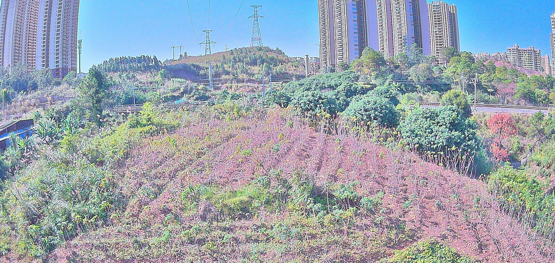 四川电力公司安装应用输电线路通道可视化图像监测装置后,快速准确地识别出线路故障和异常情况